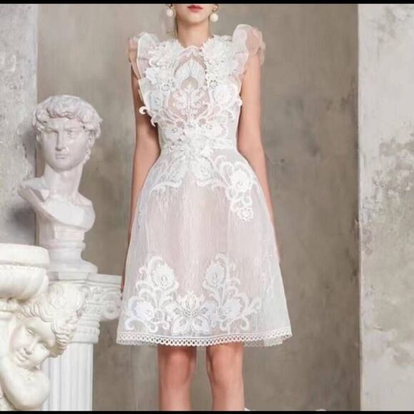 Aimili Lace Lined Dress - Picture 1 of 14